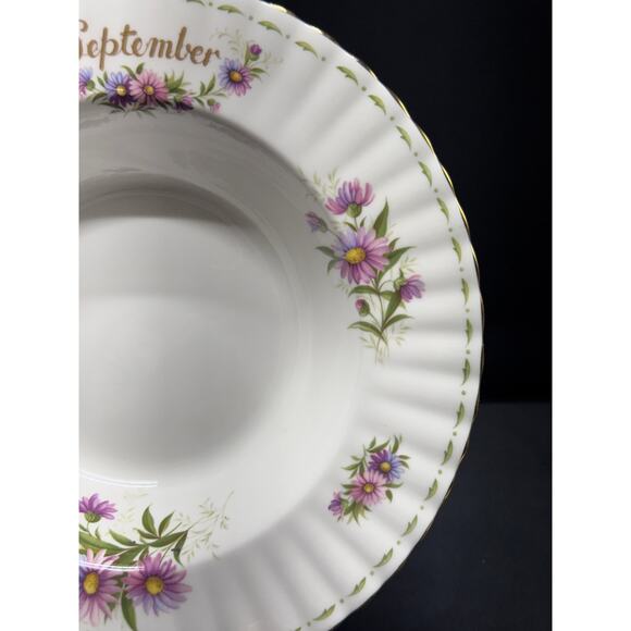 Royal Albert Bone China September Bowl & Duchess September Teacup – Daisies - Picture 9 of 15